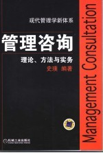 管理咨询 理论,方法与实务