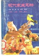 现代家庭宠物 饲养·训练·玩赏
