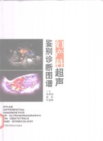 妇产科超声鉴别诊断图谱