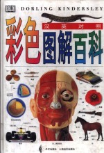 彩色图解百科 汉英对照