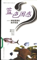 蓝色困惑 神秘莫测的海洋奇谜