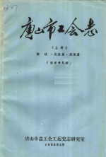 唐山市工会志 上 概述·队伍篇·组织篇