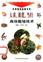 大黄,黄芪,当归高效栽培技术