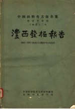 中国田野考古报告集 考古学专利 丁种第12号 澧西发掘报告