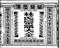 林氏宗谱大全