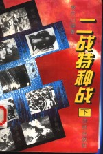 二战特种战 下