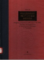 新生儿颅内病变的B超,CT,MRI影像诊断与防治