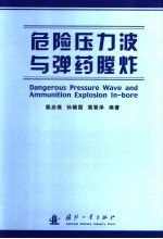 危险压力波与弹药膛炸