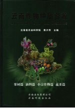 云南作物种质资源 果树篇,油料篇,小宗作物篇,蔬菜篇