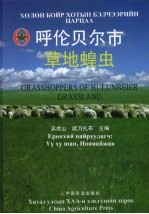 呼伦贝尔市草地蝗虫
