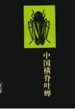中国横脊叶蝉 同翅目:叶蝉科