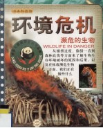 环境危机 濒危的生物