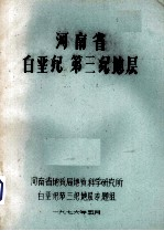 河南省白垩纪第三纪地层
