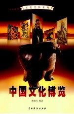 中国文化博览 4
