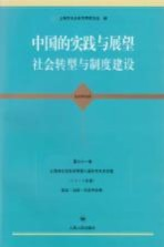 中国的实践与展望,社会转型与制度建设