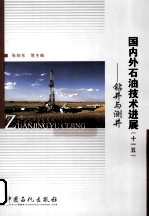 国内外石油技术进展 十一五 钻井与测井
