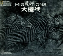 大迁徙
