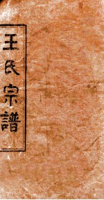 王氏宗谱 总本