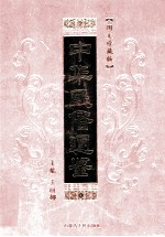 中华民俗通鉴 第10卷
