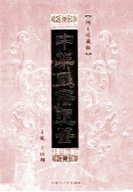 中华民俗通鉴 第7卷