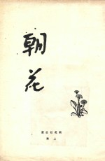 朝华 第1期-第20期合订本