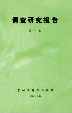 调查研究报告 第1卷