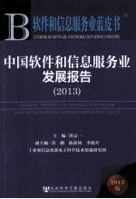 中国软件和信息服务业发展报告 2013