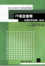 IT项目管理 从理论-实践 第2版