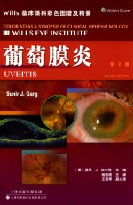 WILLS临床眼科彩色图谱及精要 葡萄膜炎 第2版