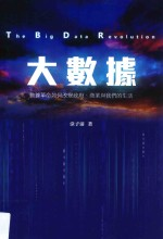大数据 数据革命如何改变政府,商业与我们的生活