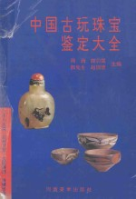 中国古玩珠宝鉴定大全