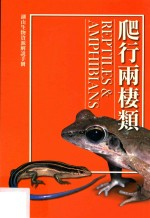 湖山生物资源解说手册 4 爬行两栖类 修订2版