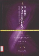 水力机械中流动诱导的脉动和振动 项目规划,设计和故障诊断工程师手册