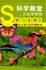 永不消失的生物标本