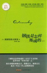 钢铁是怎样炼成的 上