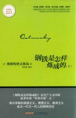钢铁是怎样炼成的 下