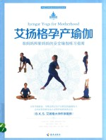 艾扬格孕产瑜伽 准妈妈和新妈妈的安全瑜伽练习指南