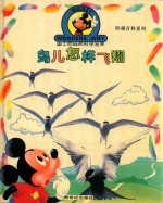 鸟儿怎样飞翔