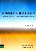 实用临床妇产科手术麻醉学