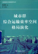 城市群综合运输效率空间格局演化