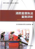 消防监督执法案例评析