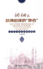 徘徊在欧洲边缘的“他者” 土耳其身份认同困境研究