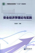安全经济学理论与实践