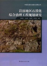 岩溶地区石漠化综合治理工程规划研究