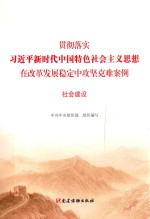 贯彻落实习近平新时代中国特色社会主义思想在改革发展稳定中攻坚克难案例 社会建设