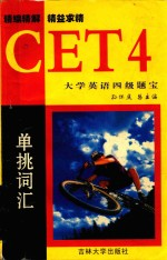 大学英语四级题宝 单挑词汇