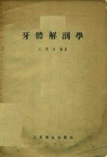 牙体解剖学