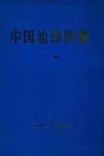 中国油田图集 下