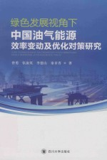 绿色发展视角下中国油气能源效率变动及优化对策研究