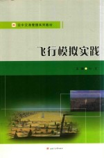 飞行模拟实践